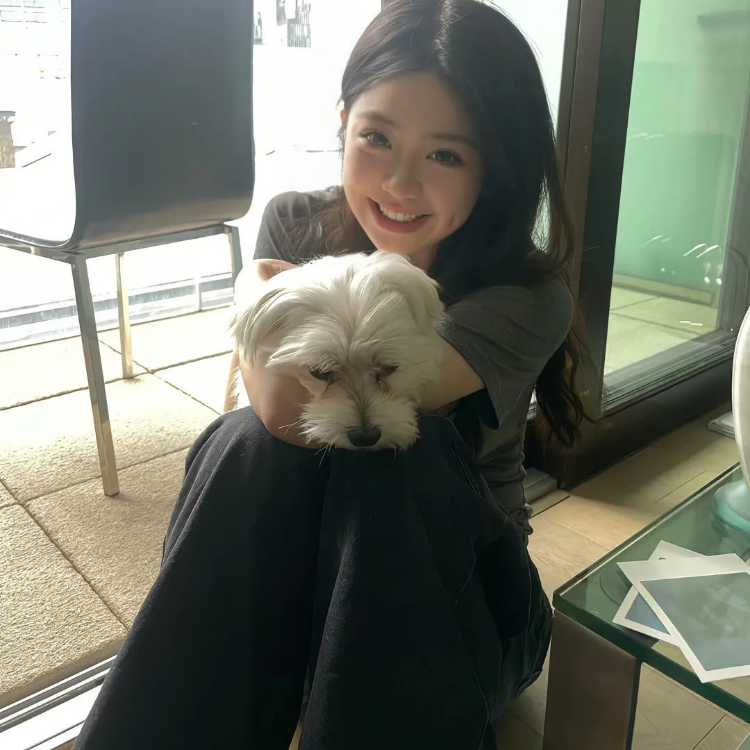 裴先生明恋成真